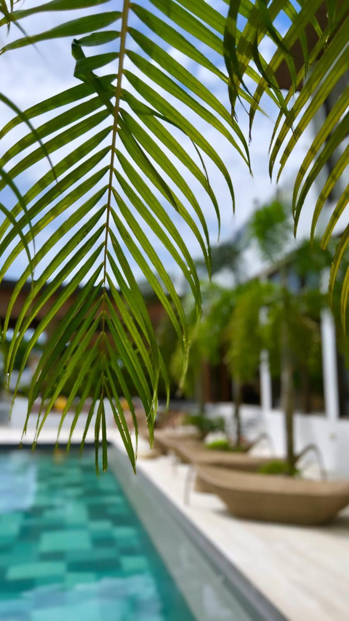 Ahana Resort El Nido Eksteriør billede